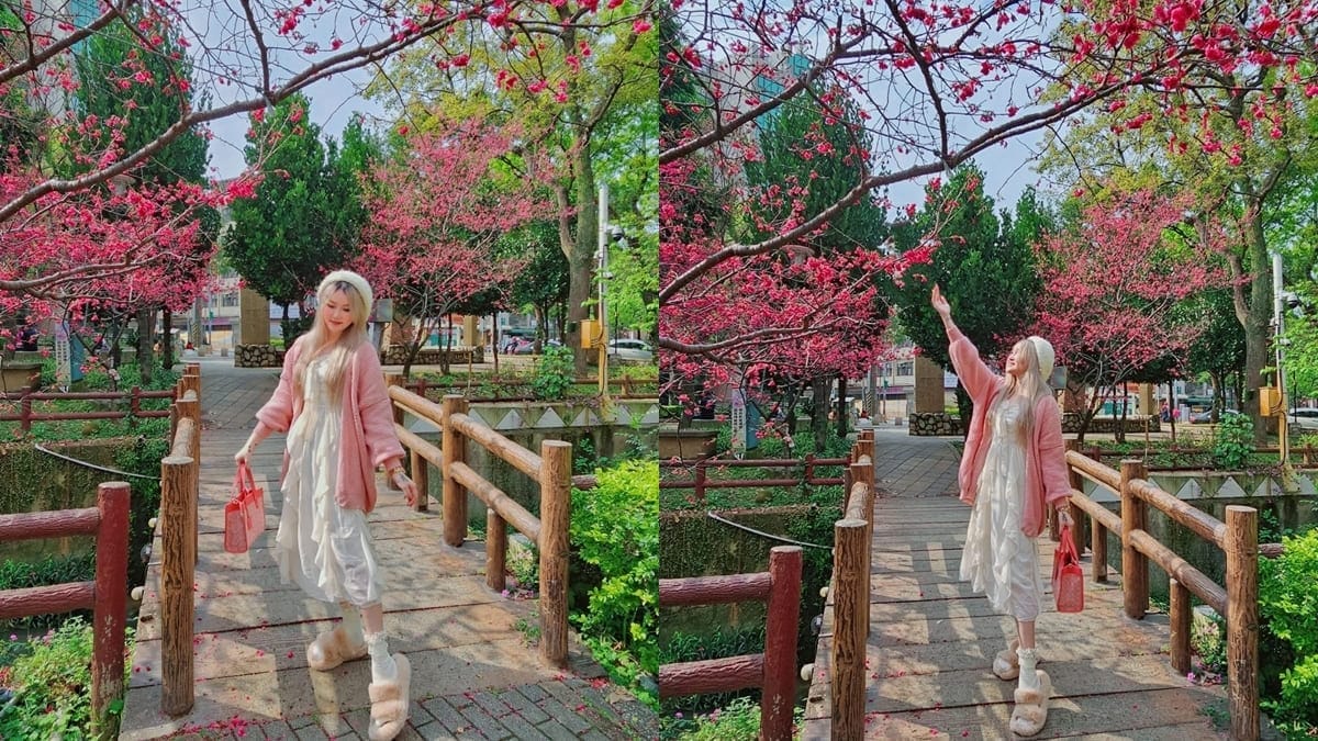 「莒光公園」桃園賞櫻景點！中歷最美櫻姿、欣賞櫻花之美、粉紅春季盛景！
