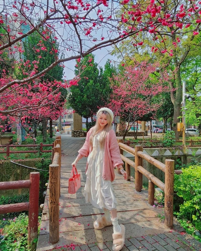 「莒光公園」桃園賞櫻景點！中歷最美櫻姿、欣賞櫻花之美、粉紅春季盛景！