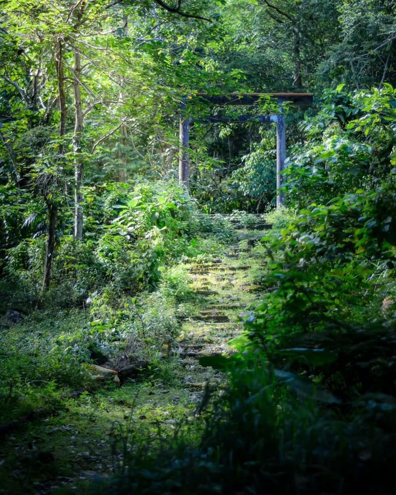 曾經在荒煙漫草中被人遺忘的加灣神社,在部落族人沿用太魯閣族的砌石技術,攜手修復失落已久的神社, 終於讓更多旅人感受到台灣原鄉和日本傳統文化的碰撞,原來是這麼美好無邊界。