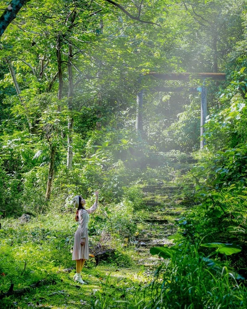 曾經在荒煙漫草中被人遺忘的加灣神社,在部落族人沿用太魯閣族的砌石技術,攜手修復失落已久的神社, 終於讓更多旅人感受到台灣原鄉和日本傳統文化的碰撞,原來是這麼美好無邊界。