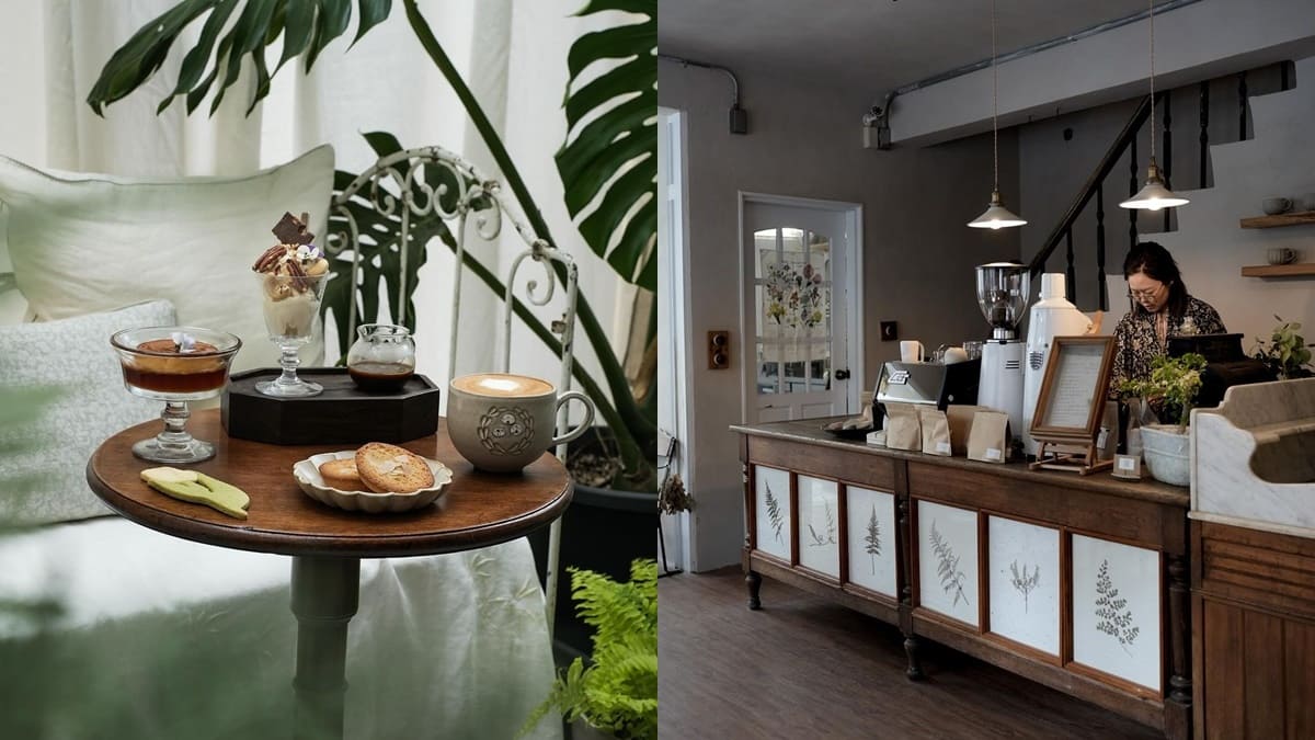 「lumi lumi 拾光室」台南植物美學咖啡館！法式甜點與精緻咖啡、寧静老宅中的品質時光！