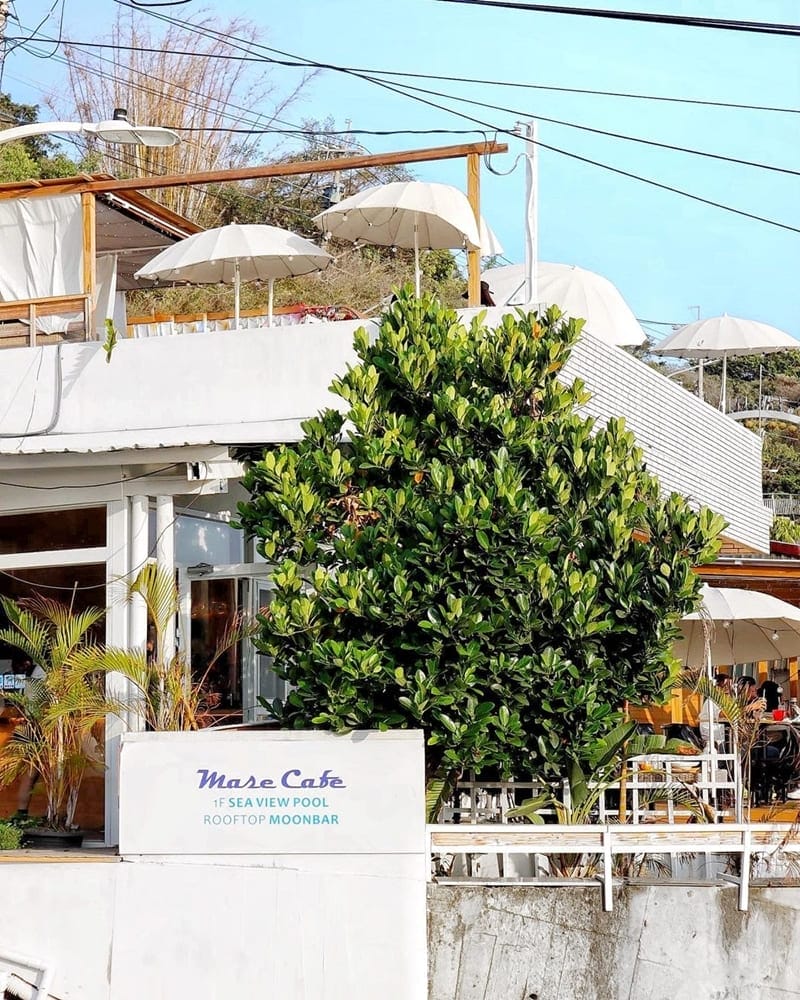 「瑪莎咖啡柴山館」高雄海景首選！小希臘之稱、海景咖啡廳、欣賞夕陽享受美食！
