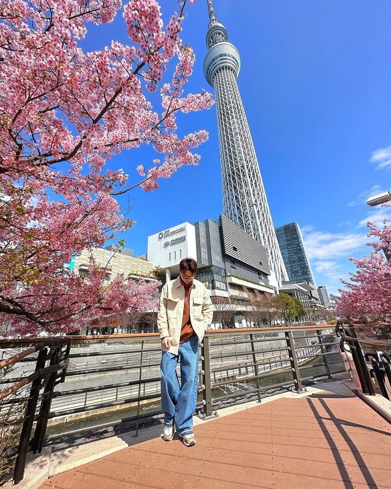 「晴空塔」探訪東京地標！近距離體驗壯麗景致、東武橋視角捕捉滿天櫻花與蔚藍天空！