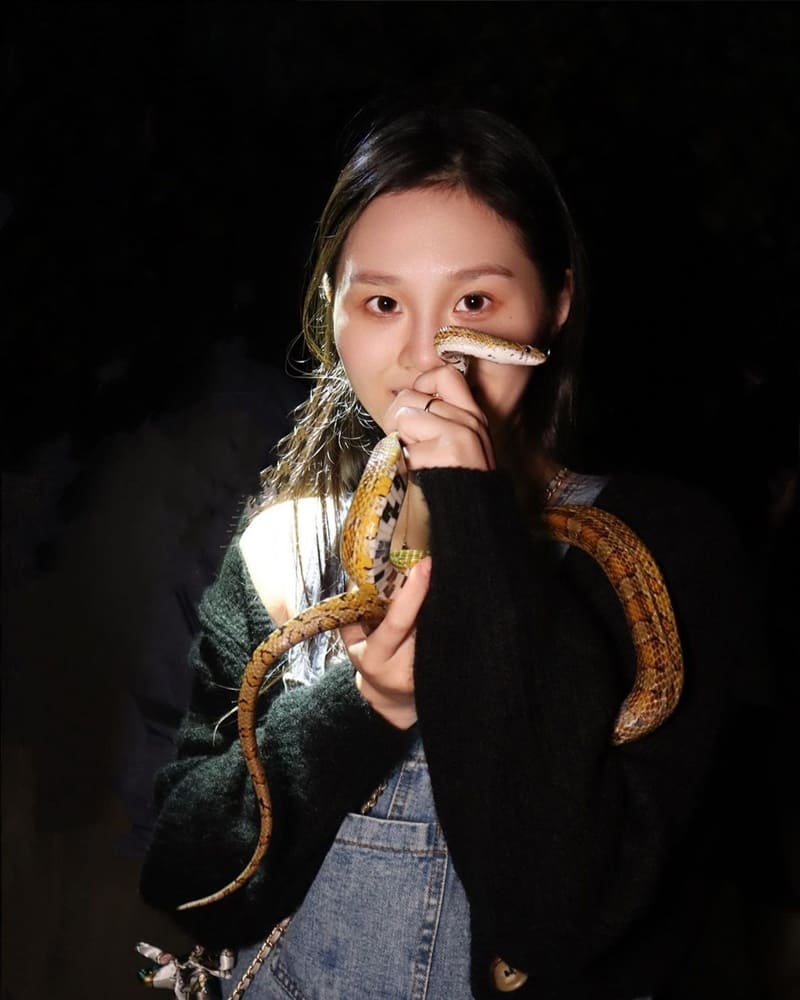 「蟬說:夕陽漫漫」台中最美豪華露營!一泊二食附下午茶、舒適享受真心推薦!