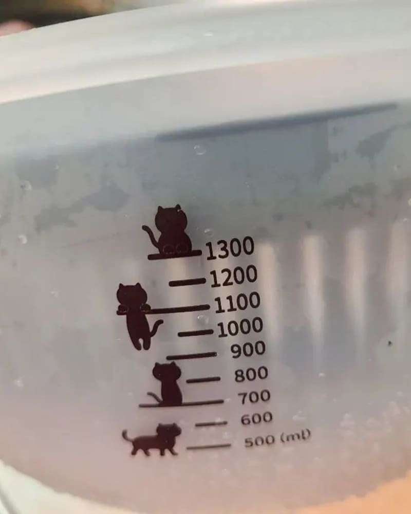 對一個歸剛在灶腳裡走跳的家庭煮婦來說….😌最不可或缺的東西是什麼呢?那當然是廚房好幫手啦!!!!! 貝殼馬麻今天要來和粉絲好友們分享廚房好物,一起來看看我在「 日本山崎生活美學-Yamazaki 新入手的質感好物吧~