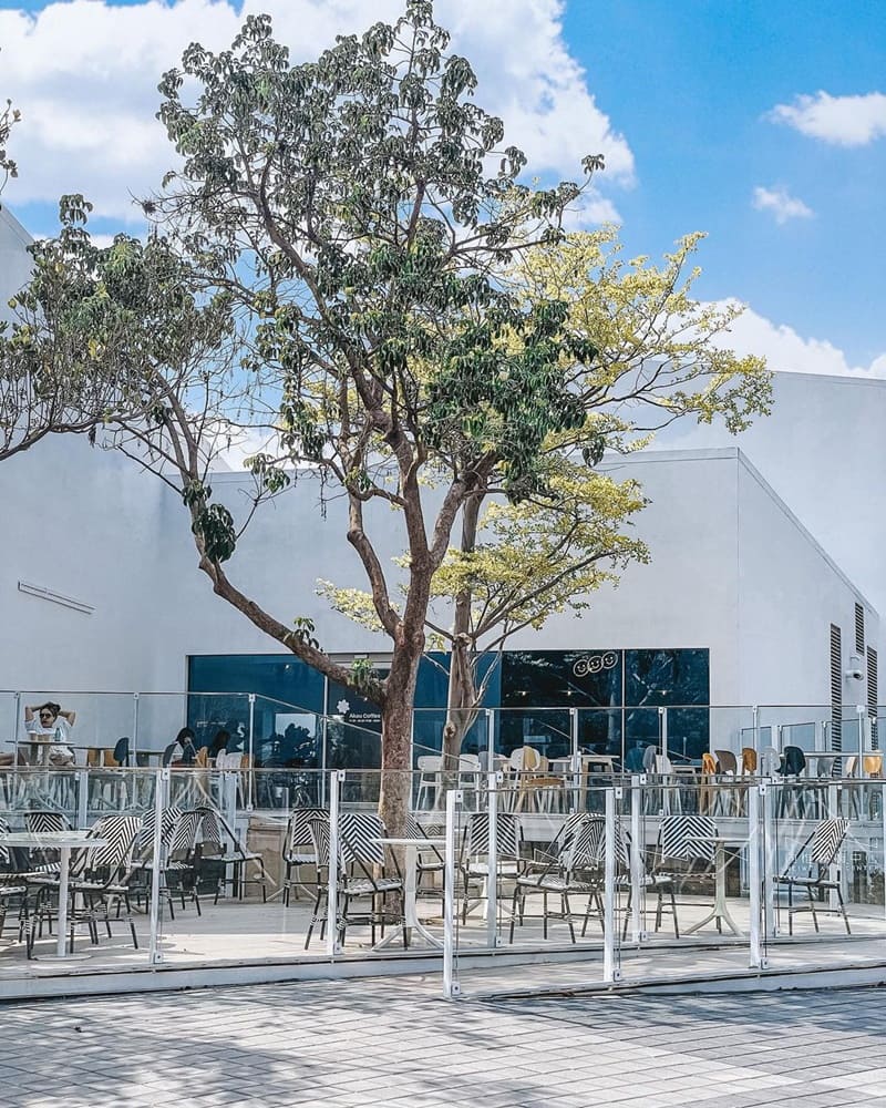 「Akau Coffee 猻物咖啡」高雄內惟藝術中心咖啡館！室內白色建築、明亮設計、室外樹影環繞！
