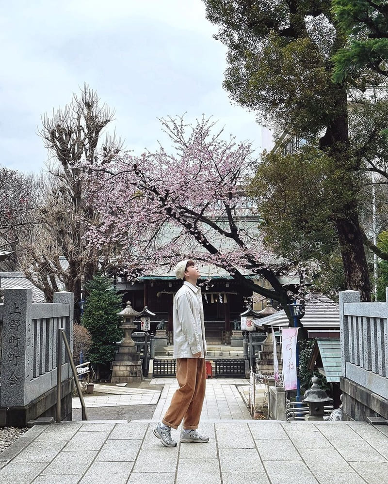 「上野恩賜公園」探訪日本東京！櫻花綻放前預覽、動物園、博物館、神社一日遊、體驗日本文化與美食！