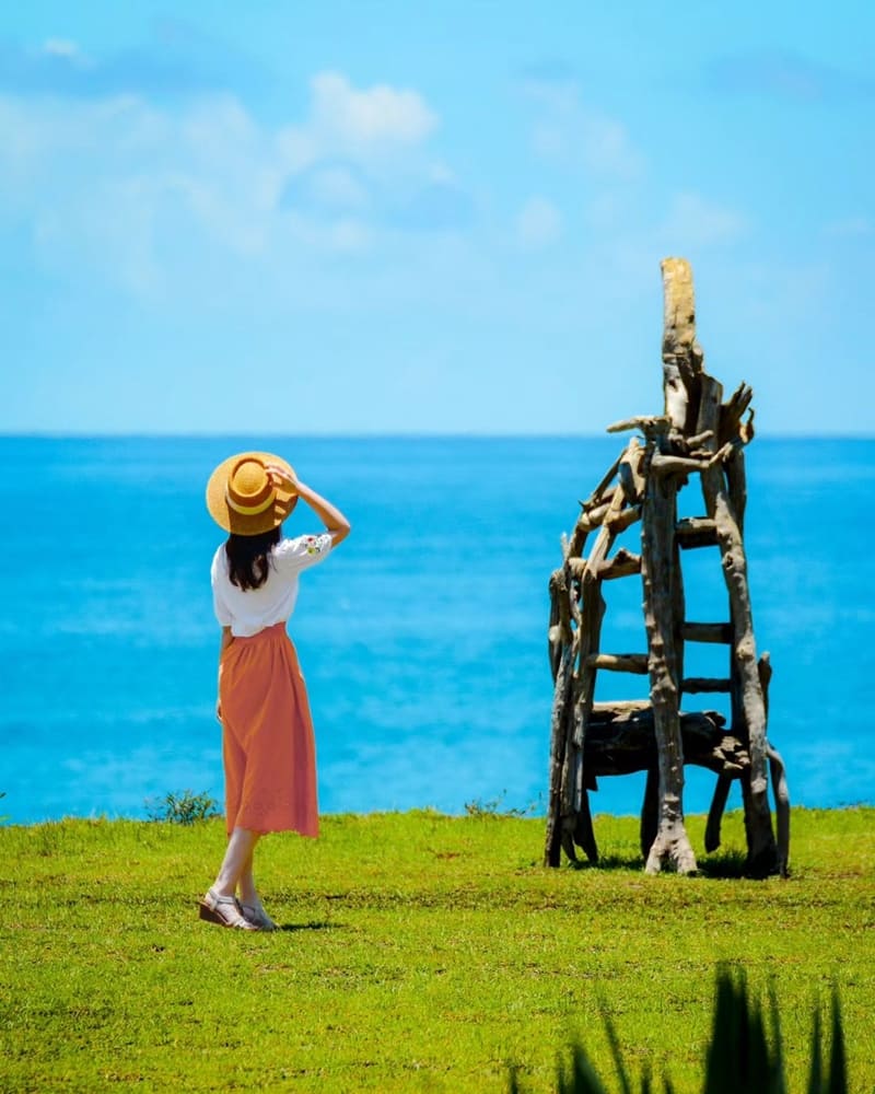 「共棲之所」南迴藝術季入駐作品、大武濱海休憩區生態藝術、純樸美好在地風情！