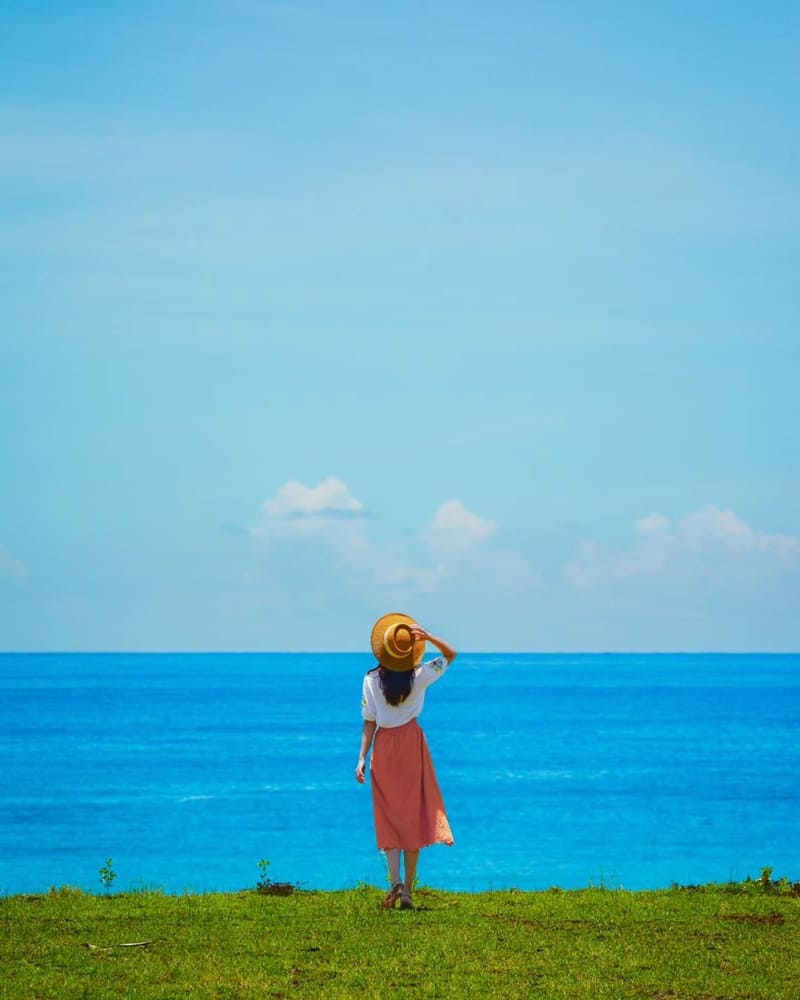「共棲之所」南迴藝術季入駐作品、大武濱海休憩區生態藝術、純樸美好在地風情！