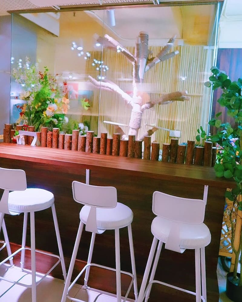 「毛所樹樹 InFluffy」長沙灣新開幕素食咖啡館！創意多元、價格合宜、套餐優惠！