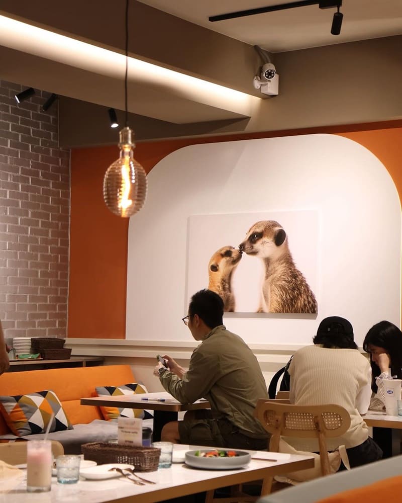 「Meerkat75 Café 75度獴」台北東區狐蒙互動餐廳！美食享樂、專屬互動、專業服務！