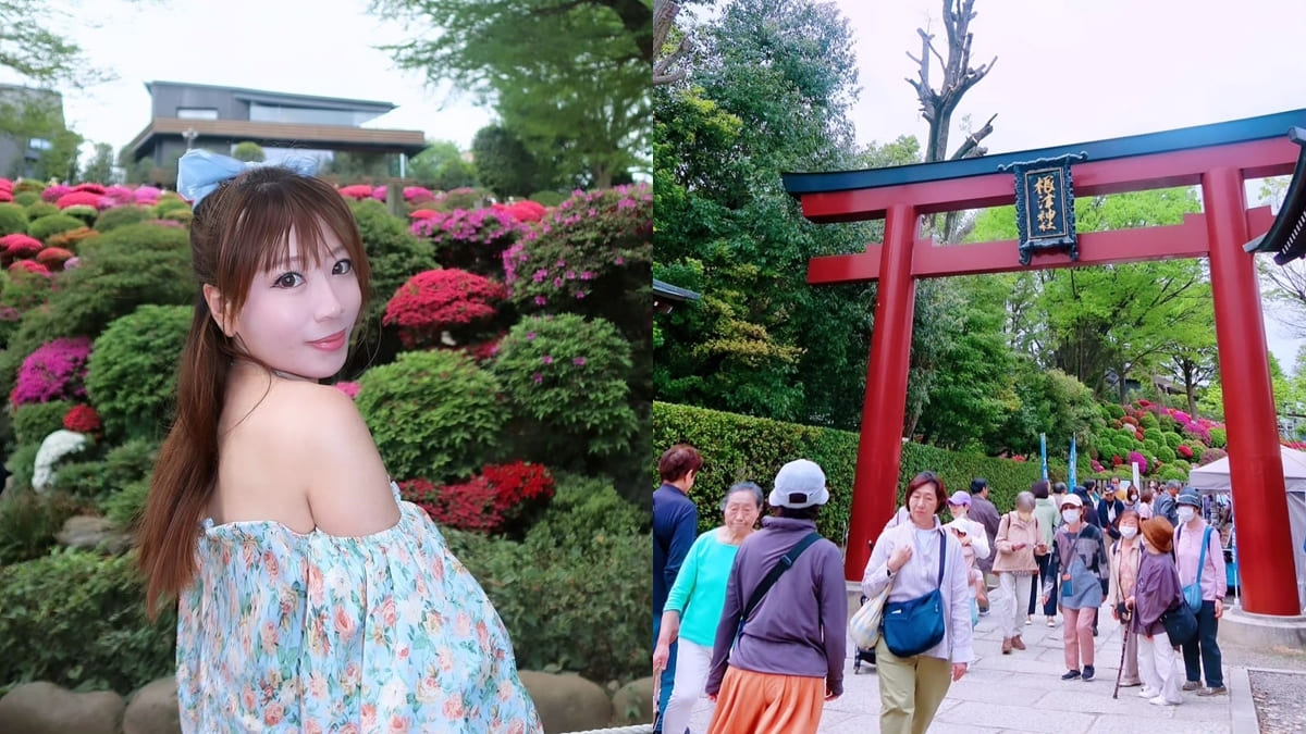 「根津神社」東京都內神聖之地！歷史悠久、春季必訪杜鵑花盛開、千本鳥居！