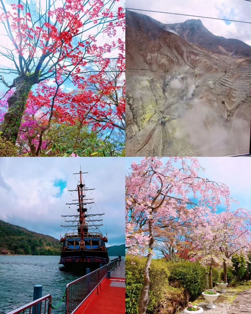 「2024神奈川旅遊」箱根町大湧谷壯觀地熱！自然奇觀、強羅公園、法國式庭院花園！