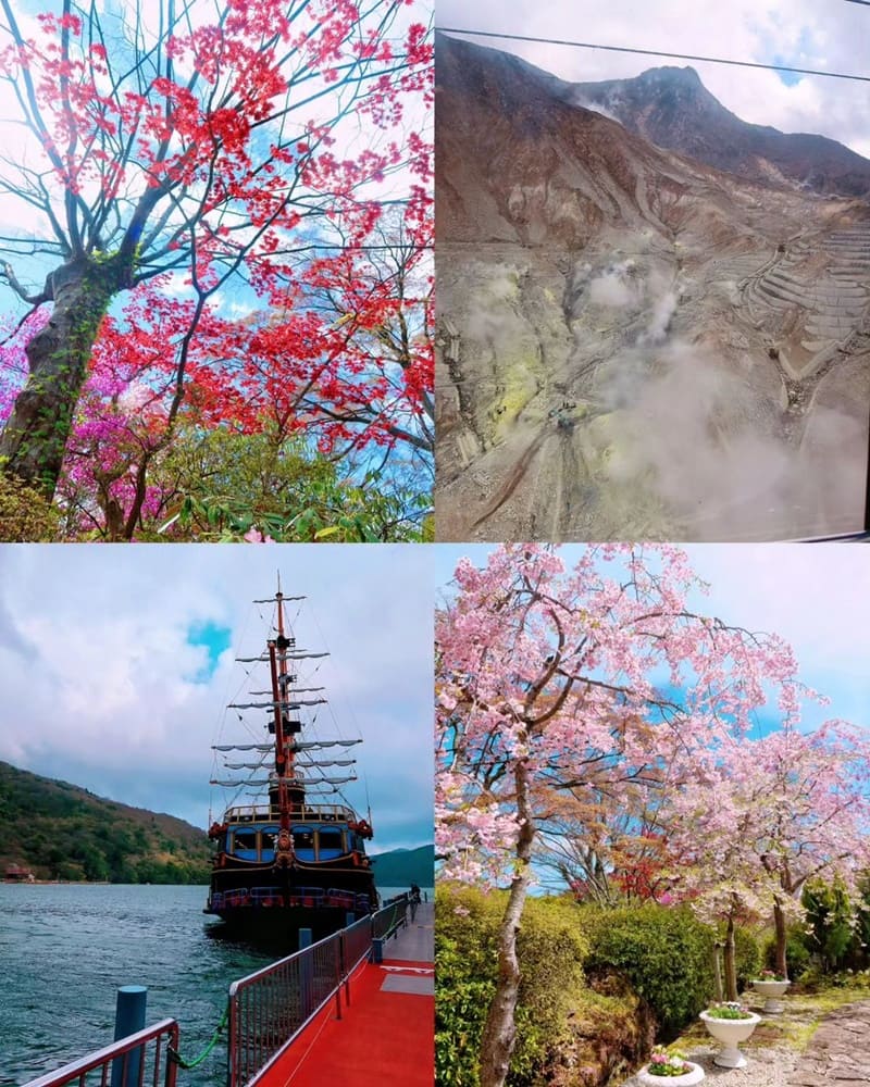 「2024神奈川旅遊」箱根町大湧谷壯觀地熱!自然奇觀、強羅公園、法國式庭院花園!