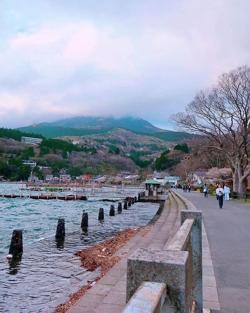 「2024神奈川旅遊」箱根町大湧谷壯觀地熱！自然奇觀、強羅公園、法國式庭院花園！