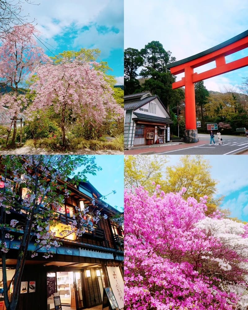 「2024神奈川旅遊」箱根町大湧谷壯觀地熱!自然奇觀、強羅公園、法國式庭院花園!