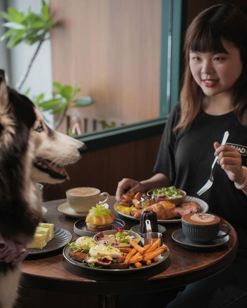 「島旅」台南新店早午餐!採用直火料理、散發獨特炭香、打造舒適島嶼餐饗、前所未有美好享受!