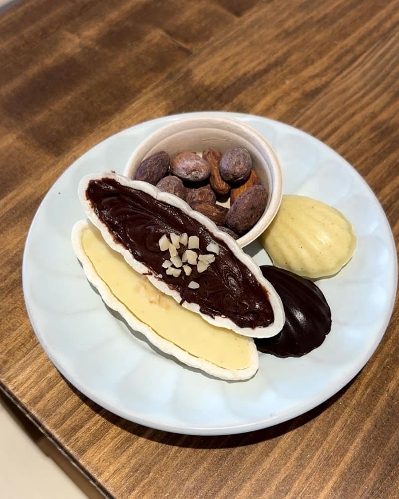「窗扉Window Cocoa」台南北區巷弄新開幕咖啡廳、可可創意料理、復古混搭現代風!