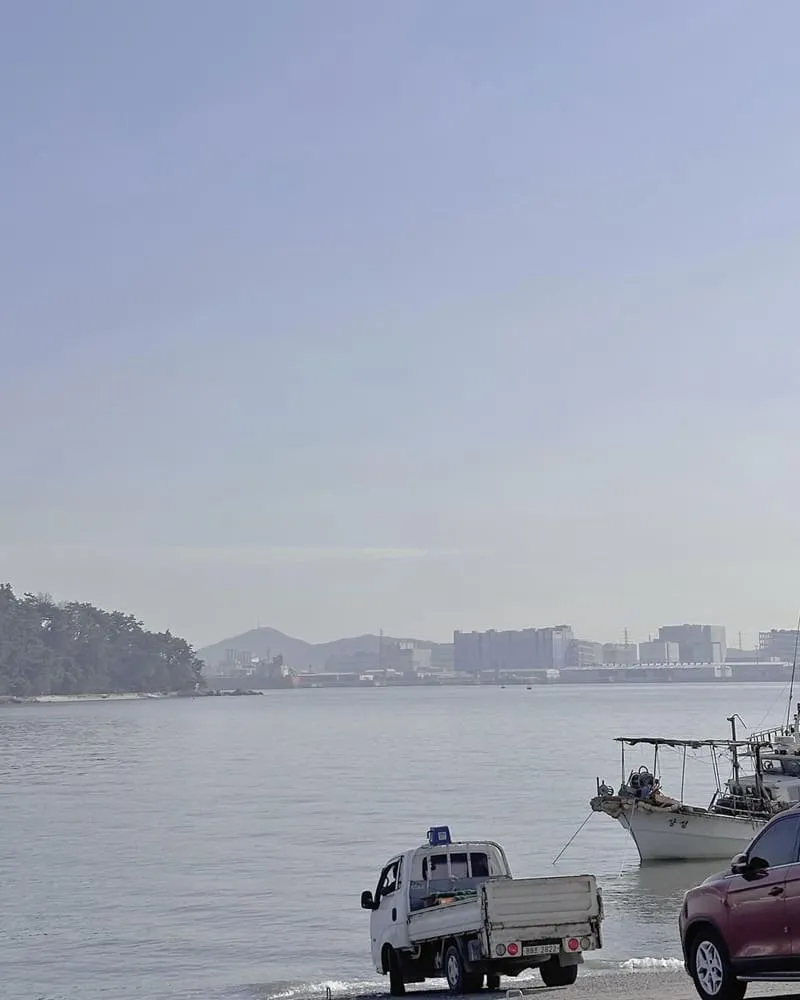 仁川「永宗島」豐富景點海岸美景！餵食海鷗體驗、韓劇迷必訪、一日海鷗放糧官！