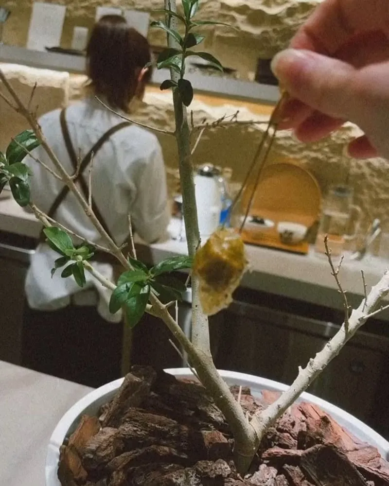 「akeruE Dessert」台北大安盤式甜點店、平塚牧人主廚再度展現獨特想像、春季創意甜點饗宴！