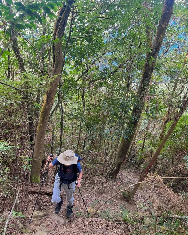 「台中谷關阿冷山」登山者的第八之巔!風景獨特、挑戰崎嶇、山林隱秘之境!