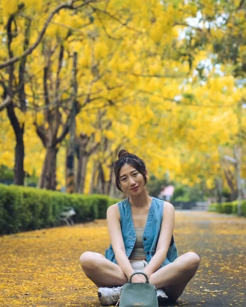 Fair Lady系列皮革包