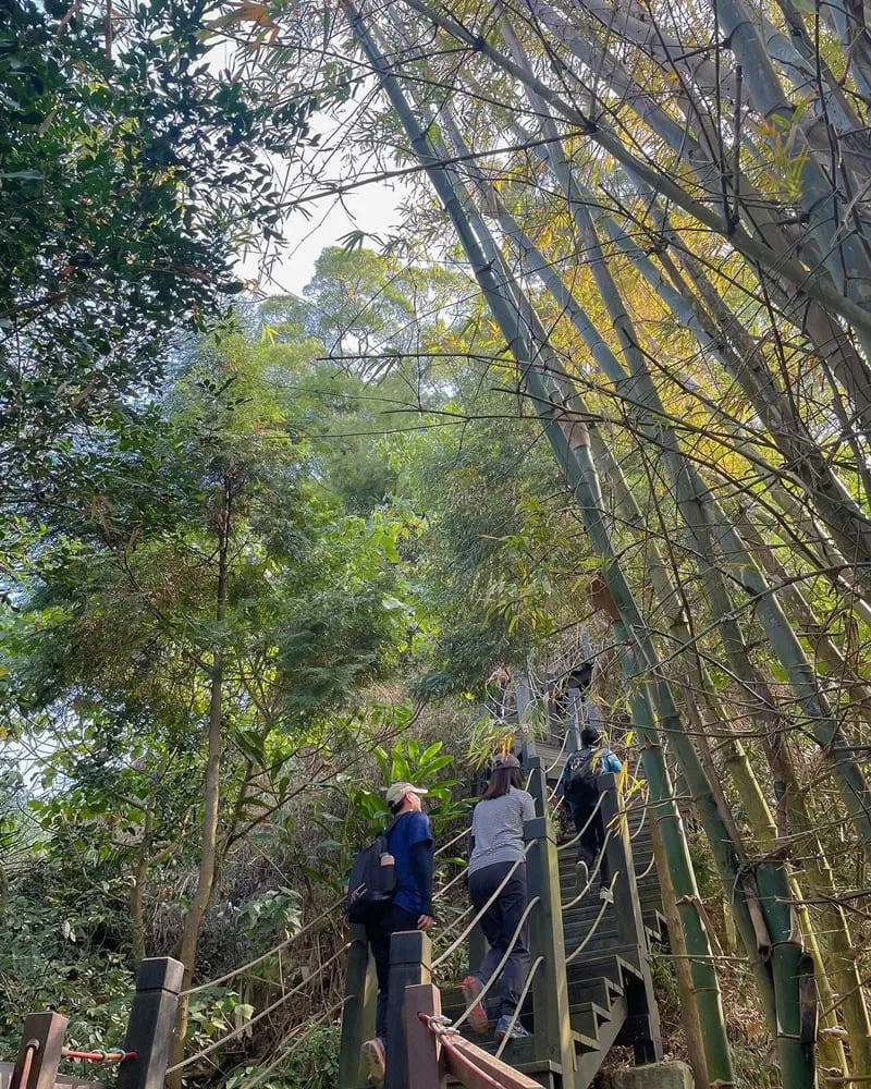 「No.40聚興山」台中低海拔小百岳!視野極佳、老少咸宜、輕鬆登頂、必打卡三角點!