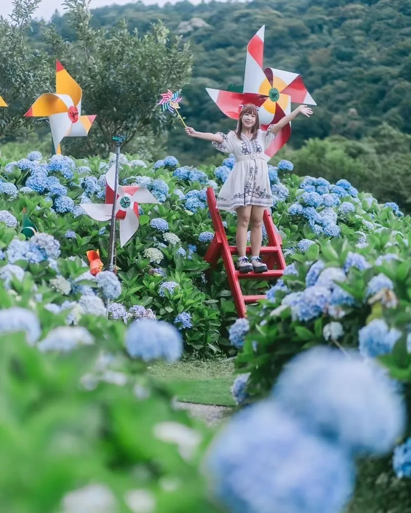 迎春圃花園