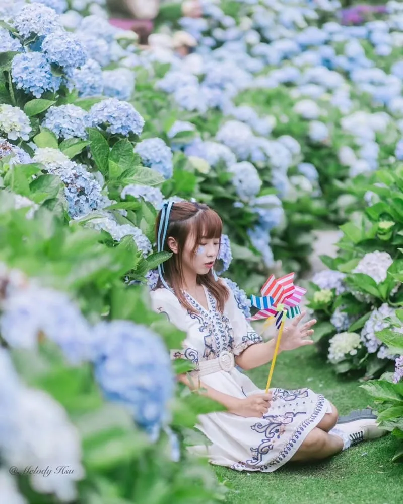 迎春圃花園