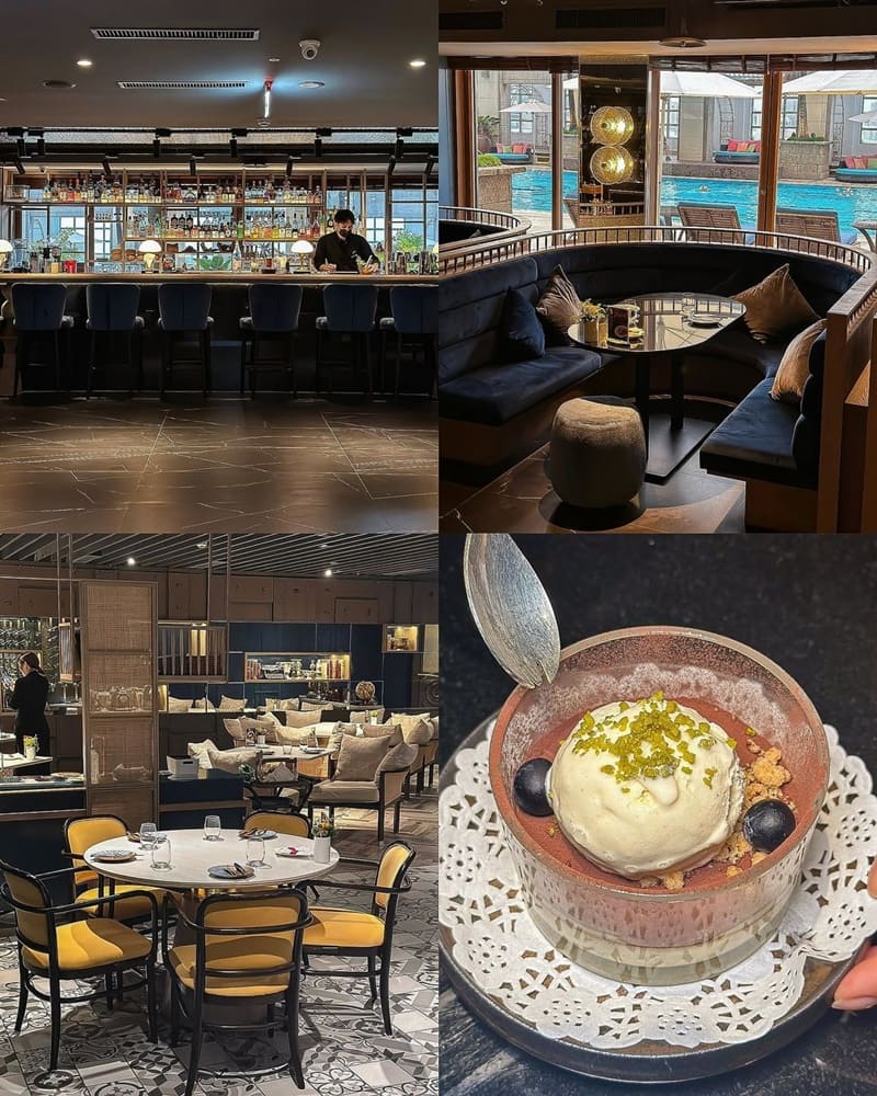 PAVO Lounge Bistro 餐酒館