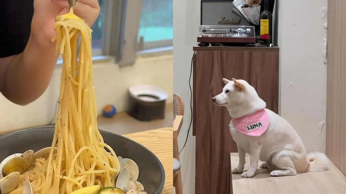 Woof What寵物友善餐廳