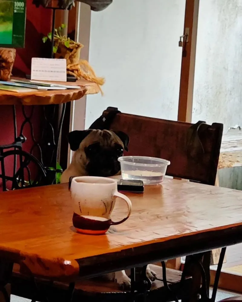 庶民美術館