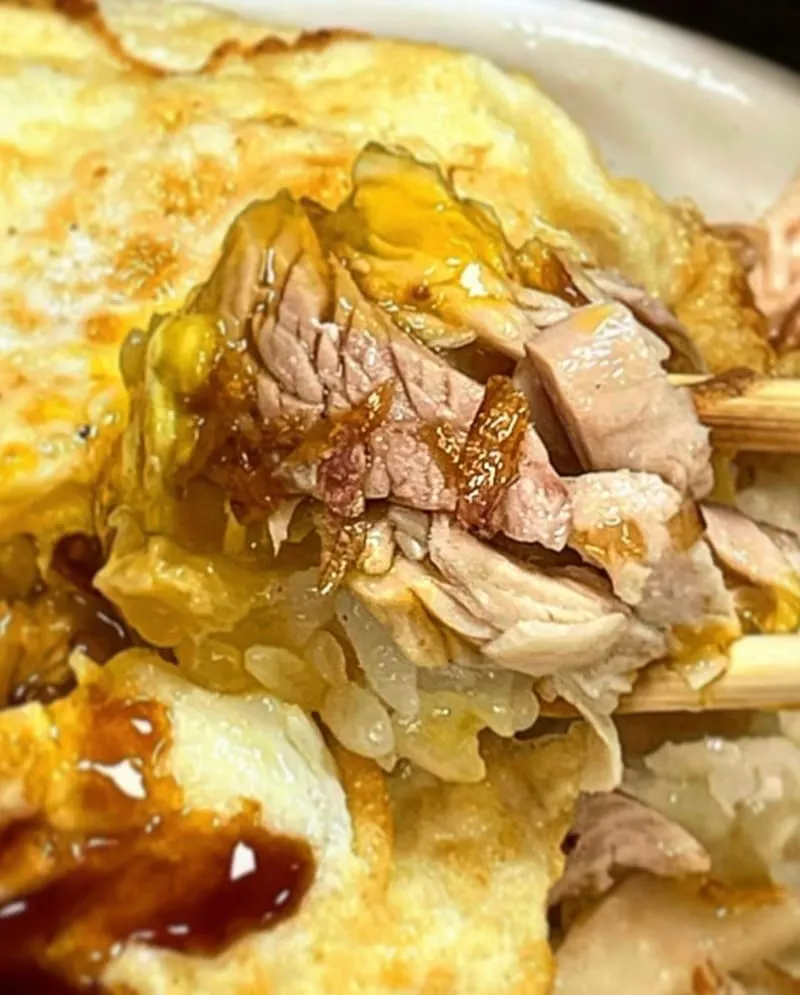 阿宏師火雞肉飯