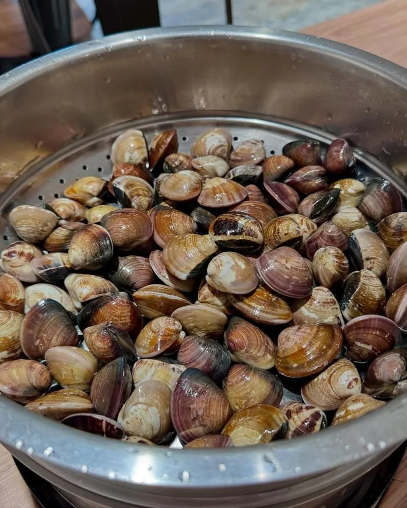 極蚬鍋物