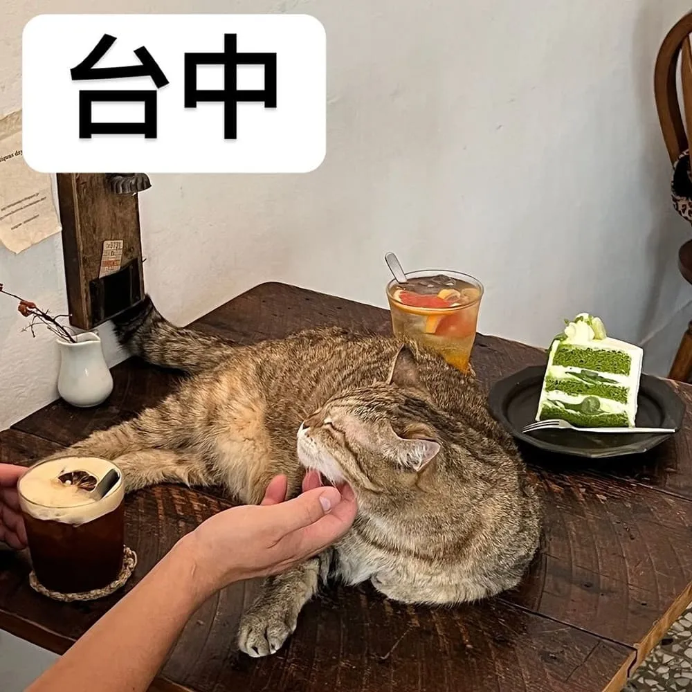 來森