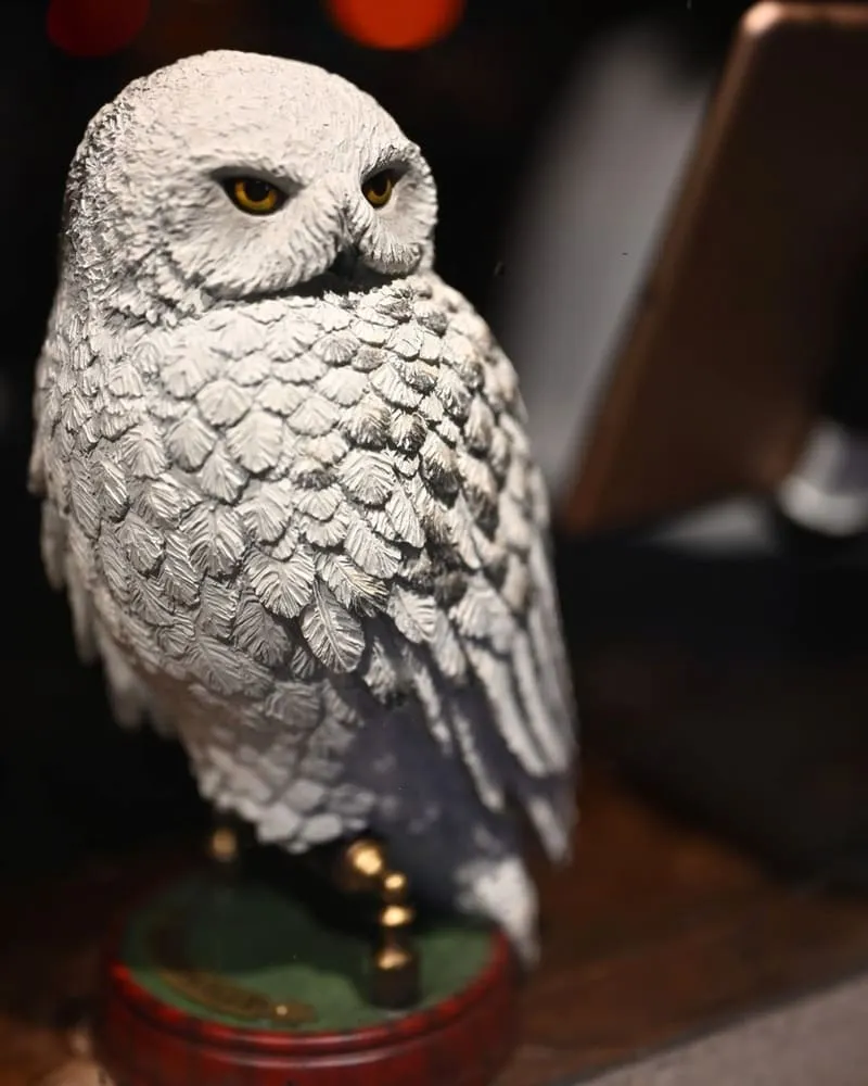 Potions Magic Bar魔藥學餐酒館