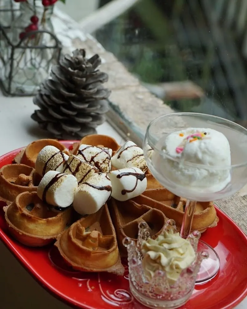 Purrson Bistro 呼嚕小酒館