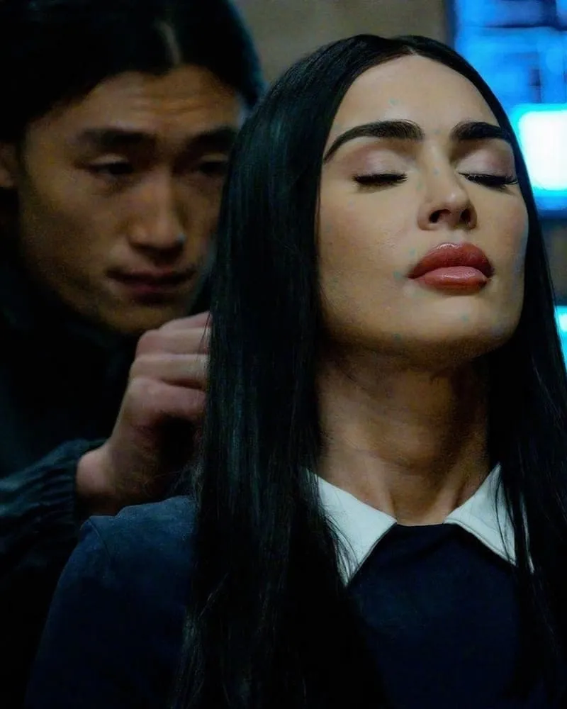 超完美家政婦