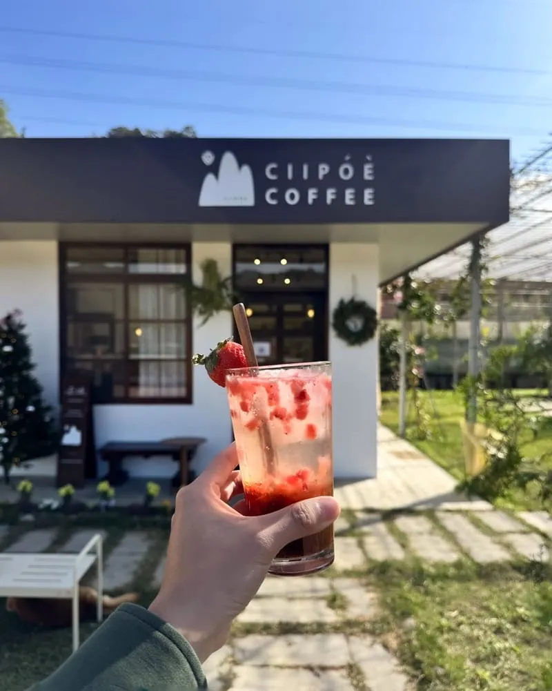 赤坡 Ciipóè Coffee|苗栗大湖高架草莓園咖啡廳