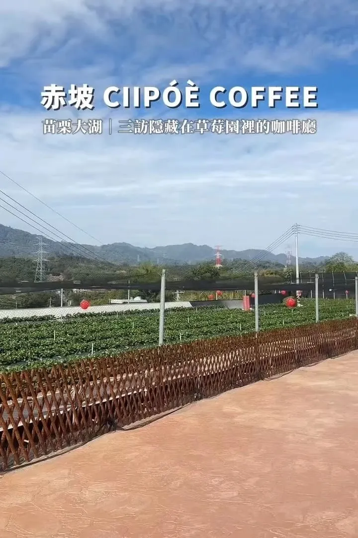赤坡 Ciipóè Coffee|苗栗大湖高架草莓園咖啡廳
