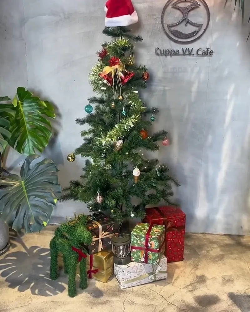 Cuppa VV Cafe 博館店