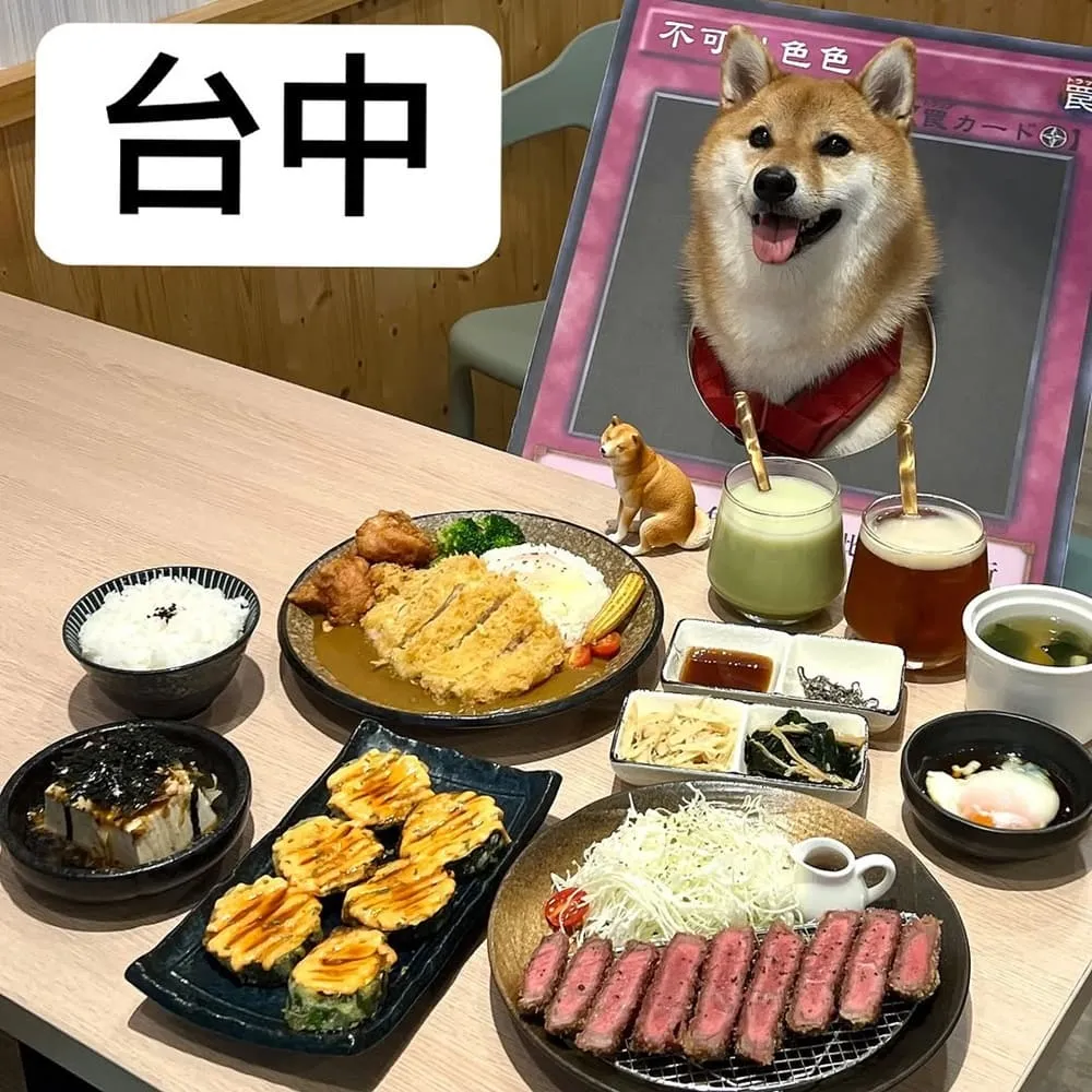 牛牛不柴寵物友善餐廳