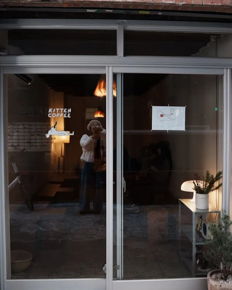 KITTEN COFFEE 釜山咖啡廳推薦