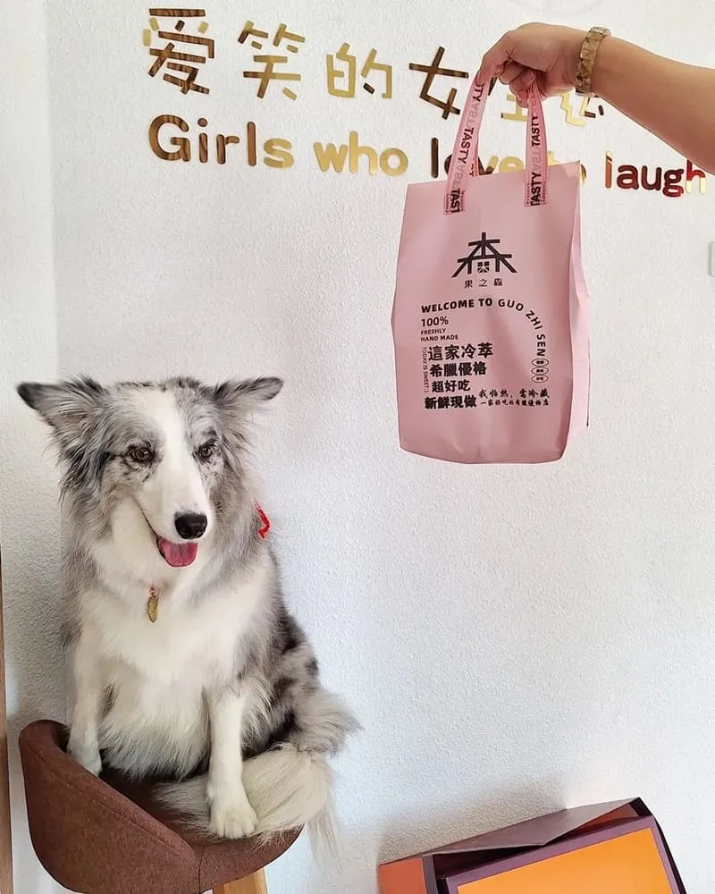 果之森