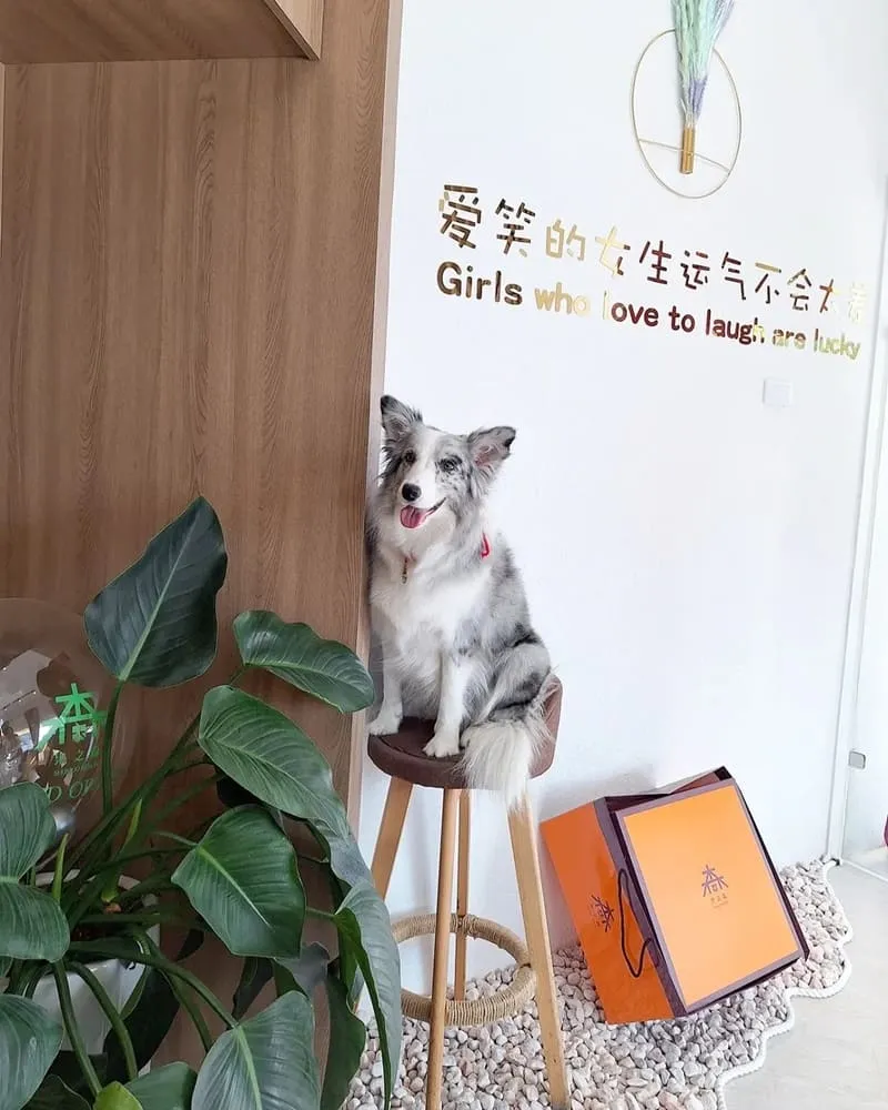 果之森