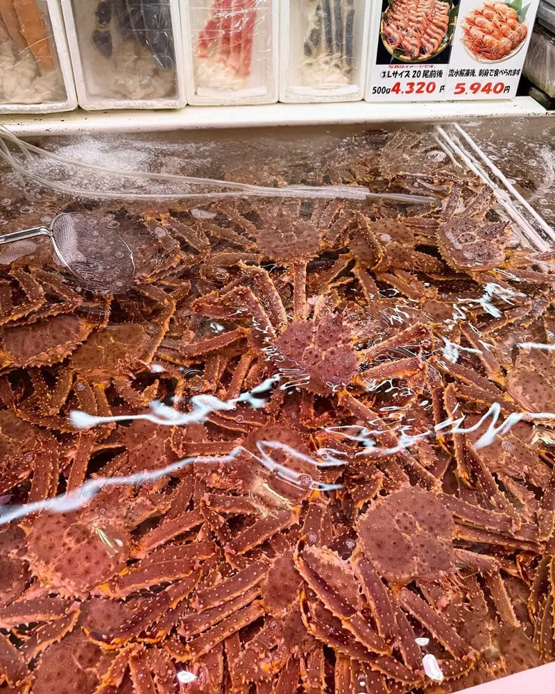 北海道小樽滝波食堂