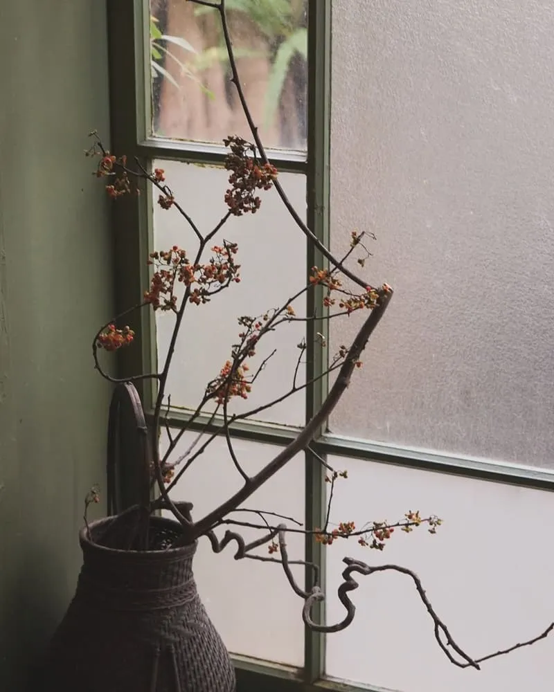 紫藤廬Wistaria Tea House