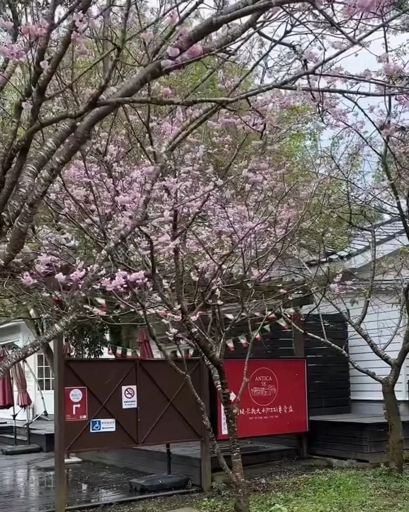 阿緹卡Pizza專賣店