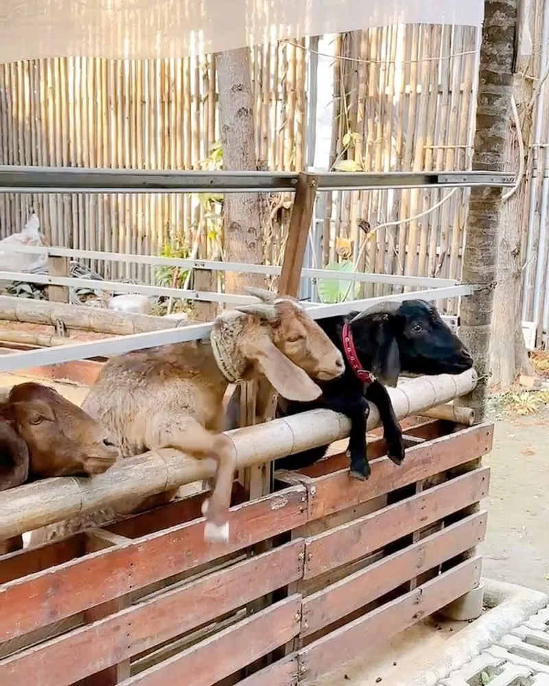 鹿寮享自在