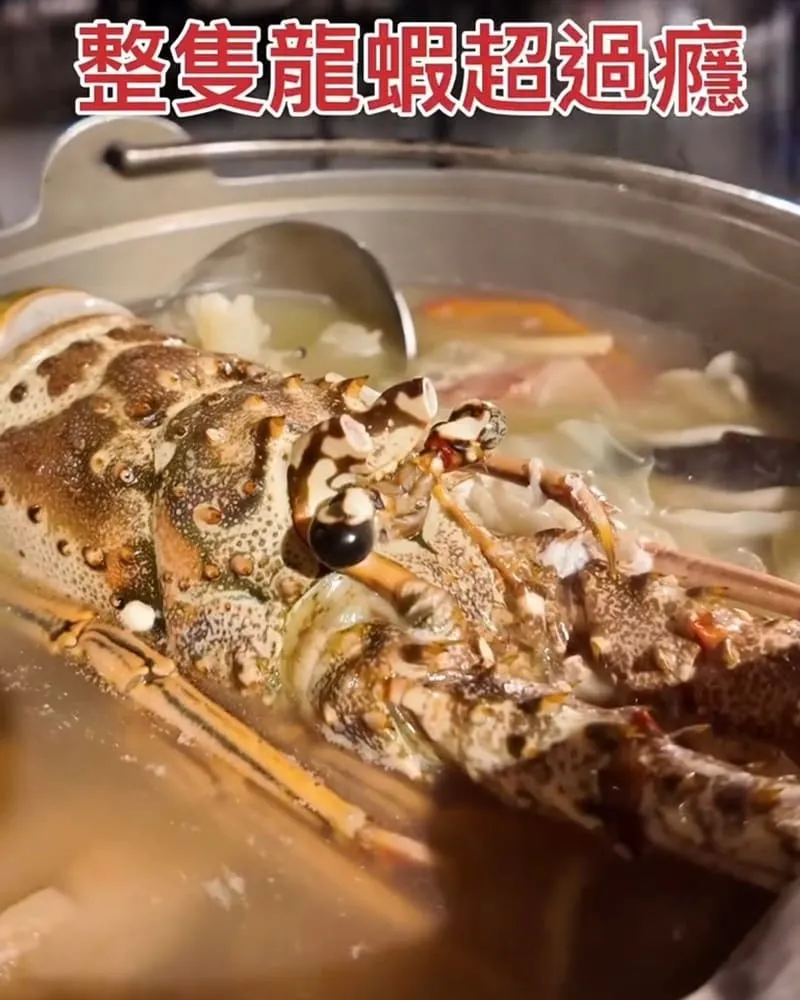 叢林開始